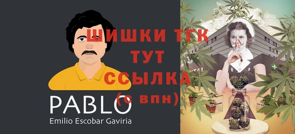 хмурый Бородино