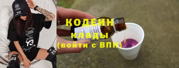 хмурый Бородино