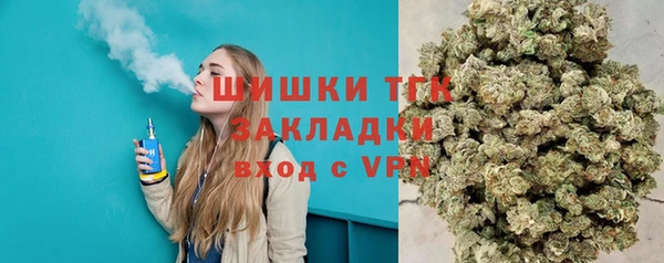 дурь Бронницы