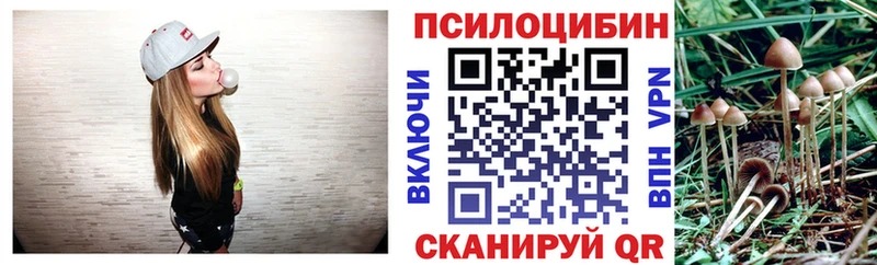 Галлюциногенные грибы MAGIC MUSHROOMS  Майкоп 